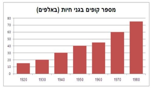 הכנה למבחן פסיכוטכני